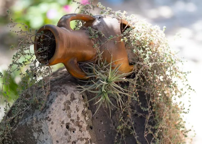 Resonance Experience - Escape Surrounded By Nature & Ancient Sites Nyaraló *