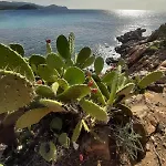 Resonance Experience - Near Cagliari, Beaches & Nature *
