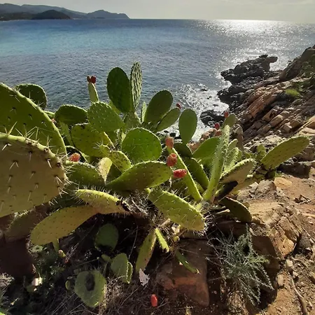 Resonance Experience - Near Cagliari, Beaches & Nature *