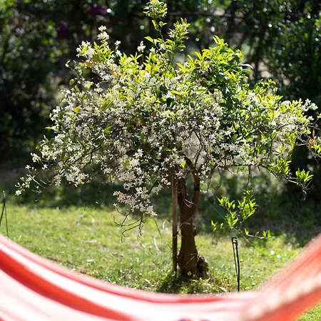Resonance Experience - Near Cagliari, Beaches & Nature * Sant Isidoro (Sardinia)
